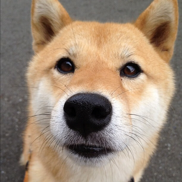 季后赛中,库里连续10场投出超过5个三分,刷新个人季后赛纪录!,库里季后赛生涯最高分是多少