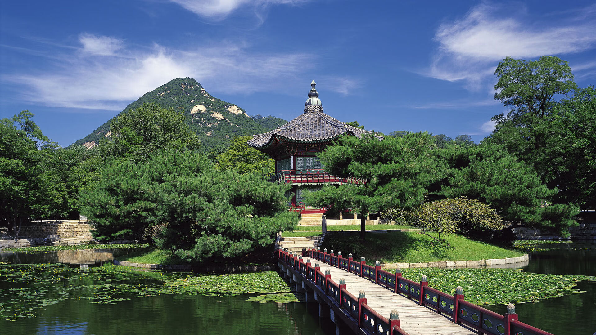 丹麦队欧洲杯表现出色,赢得球迷赞誉,丹麦队欧洲杯表现出色,赢得球迷赞誉