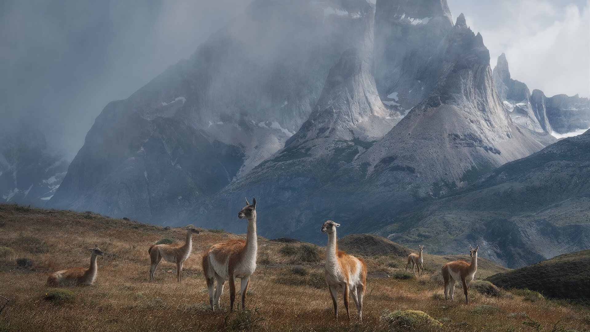 开云体育网站入口-假球阴影：足球裁判问题引发全民关注，足球最著名的假球事件