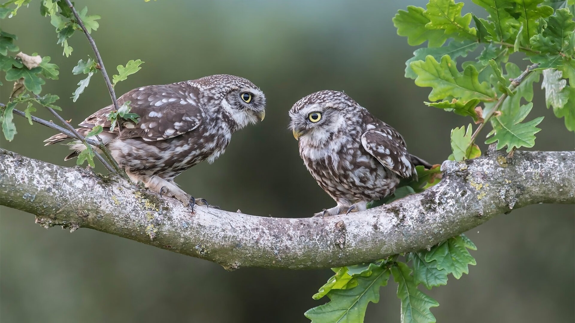 各种主题电竞展览轮番上阵,粉丝热情高涨,电竞展览策划书