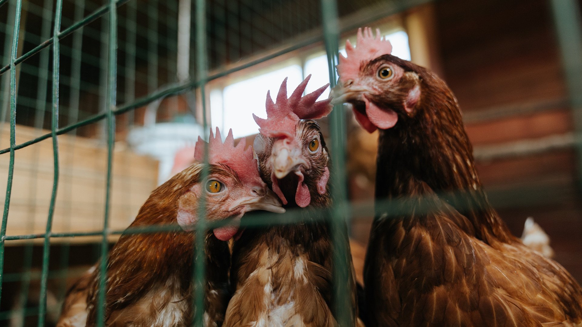 史上最精彩的“瞬间对决”:谁的表现最令人震撼?,瞬间对应的词