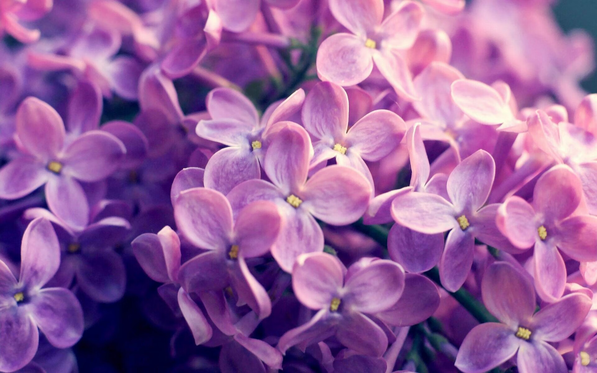 奥运淘汰赛：英格兰加时苦战晋级，奥运会英国和英格兰怎样区别